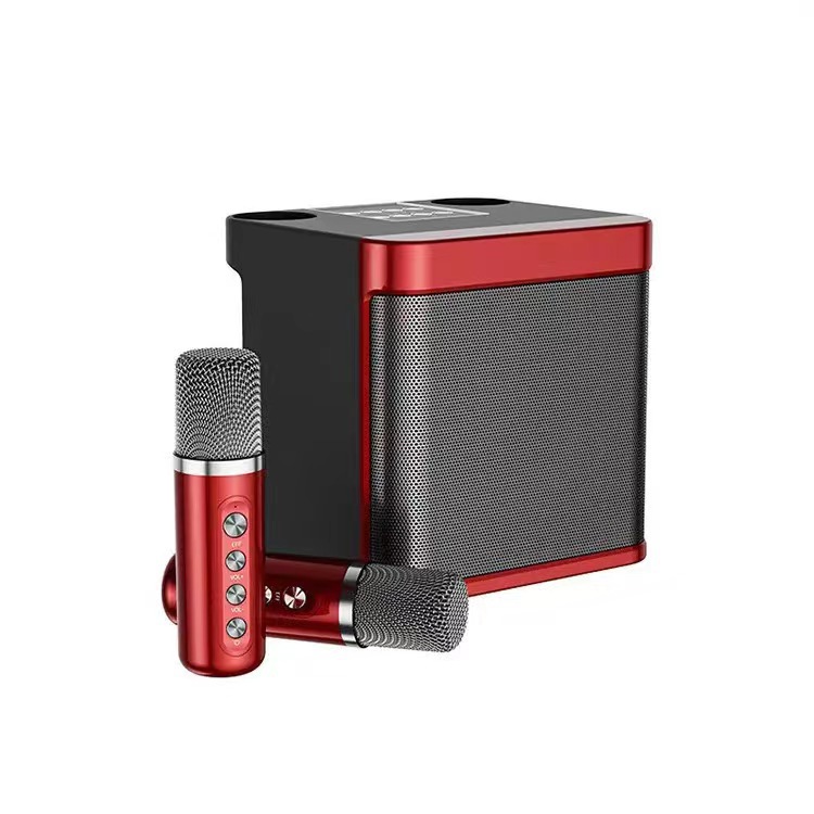 Home Outdoor Portable Wireless Bluetooth Speaker Karaoke Dual Microphones Speaker